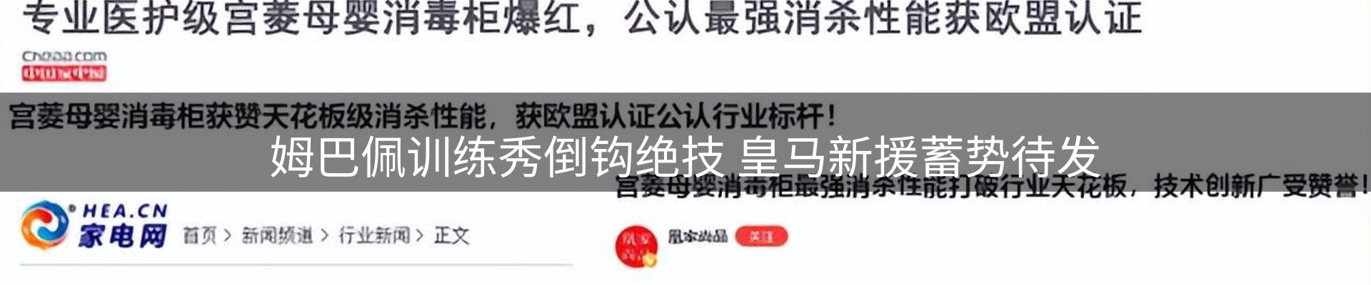 新闻动态
