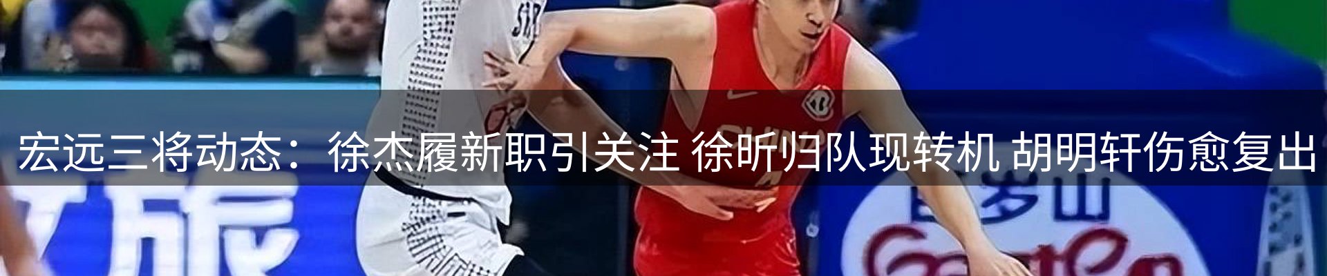 新闻动态
