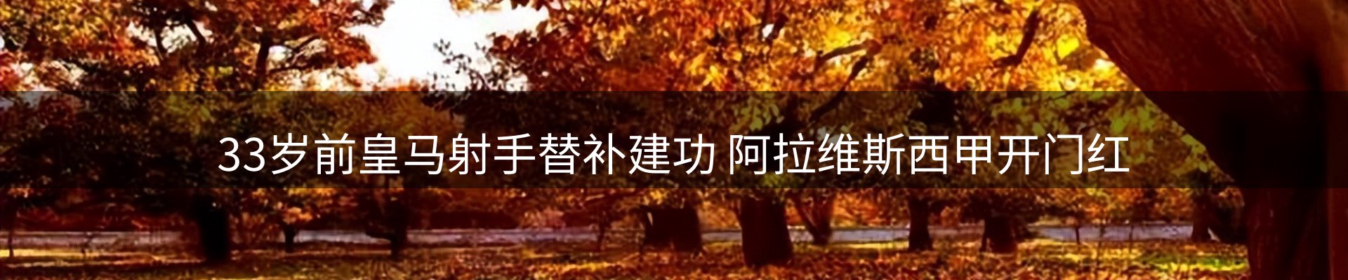 新闻动态